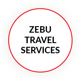 zebu