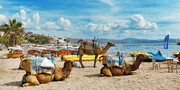 Bodrum #3