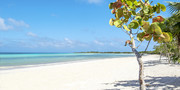 Cayo Coco #1