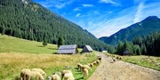 Góry #3
