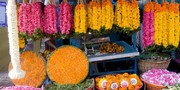 Kerala #5