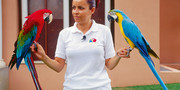 Hotel Atlantic Mirage Suites & Spa